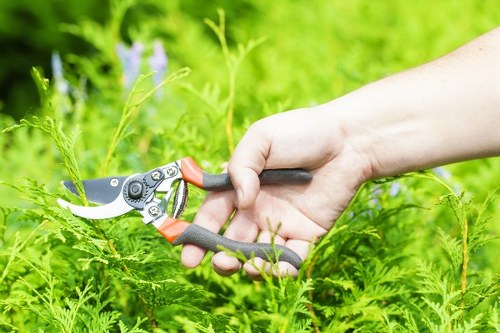 Materials and planning for a landscaping project on site