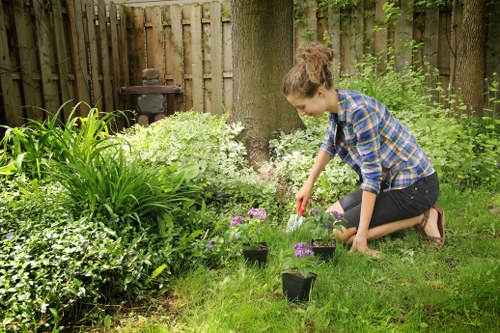 Composting and reuse of green waste from a Balham garden project