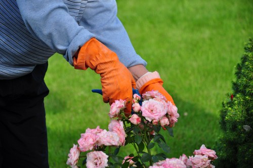 Professional garden makeover services for Balham homes