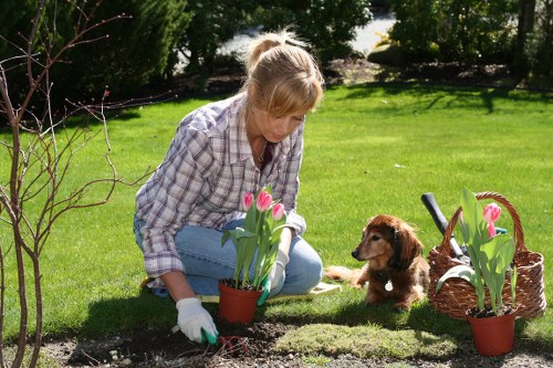 Marked work zone and site protection measures for landscaping safety